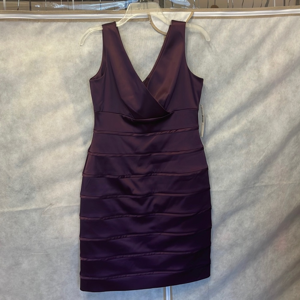 Isabella DeMarco wine fitted dress, size 6